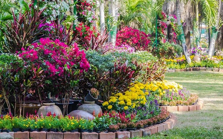 Plants